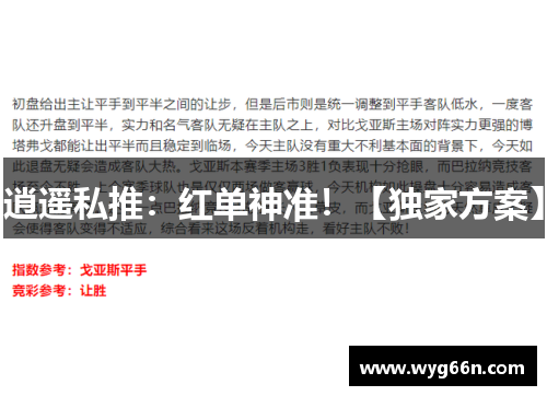 逍遥私推：红单神准！【独家方案】