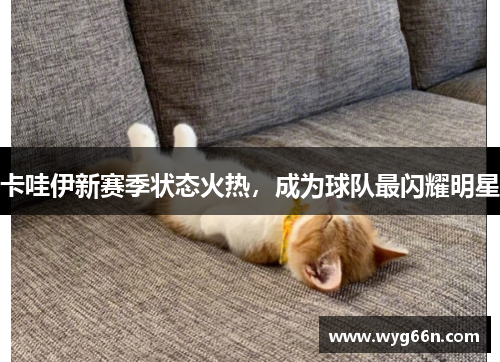卡哇伊新赛季状态火热，成为球队最闪耀明星