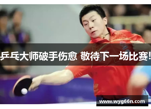 乒乓大师破手伤愈 敬待下一场比赛!